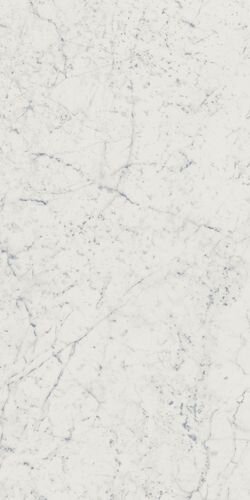 Charme Extra Carrara Ret 60x120/Шарм Экстра Каррара Рет 60х120 (610010001194) Charme Extra Carrara Ret 60x120/Шарм Экстра Каррара Рет 60х120 (610010001194)