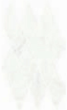 CHARME DELUXE Bianco Michelangelo Mosaico Diamond 28x48 (620110000111) CHARME DELUXE Bianco Michelangelo Mosaico Diamond 28x48 (620110000111)