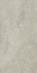 Абсолют Сильвер Натуральный 60x120 cm