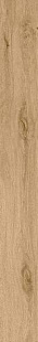 ROOTS 20X180 HONEY MATT R9