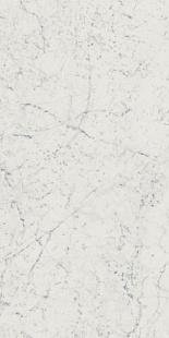 Charme Extra Carrara Ret 60x120/Шарм Экстра Каррара Рет 60х120 (610010001194)