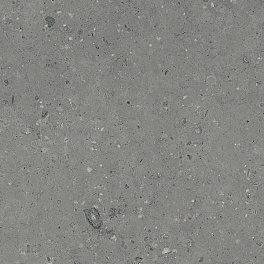 ГР213 Аркаим серый 1200x600