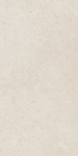 Fossil Pure 60X120 Ret