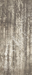 YLICO 120X278 WOOD FOG