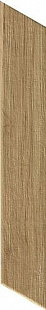ROOTS 7,5X45 GOLD CHEVRON