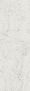 Charme Extra Carrara 25x75/Шарм Экстра Каррара 25х75 (600010001978)