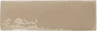 REBELS TOPO GLOSS