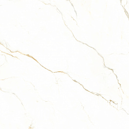 Calacatta Polido 120x120 Matt (9 мм)
