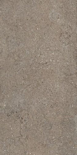 Discover Desert 60X120 Ret