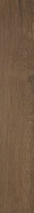 ROOTS 20X120 TOBACCO OUT R11