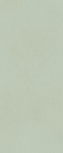 TRUE COLOR 50X120 MATCHA MATT